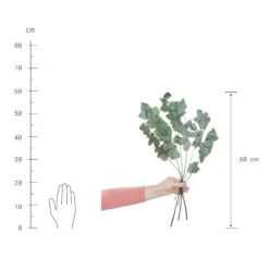 2x Trockenblumen Eukalyptus Länge 60cm FLOWER MARKET In Grün -Butlers butlers 2x trockenblumen eukalyptus lange 60cm flower market in grun 3