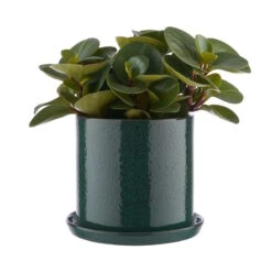 Blumentopf Mit Teller Ø20cm PLANT PLACE In Grün -Butlers butlers blumentopf mit teller o20cm plant place in grun 1