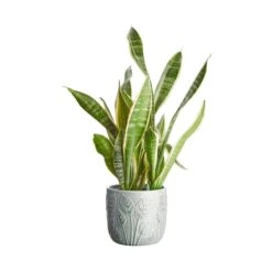 Blumentopf Ø14cm LEAVES In Salbei -Butlers butlers blumentopf o14cm leaves in salbei 2