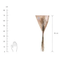 Trockenblumen Lagurusgras Länge 70cm FLOWER MARKET In Natur -Butlers butlers trockenblumen lagurusgras lange 70cm flower market in natur 2