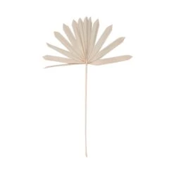 Trockenblumen Palmblatt Länge 60cm FLOWER MARKET In Natur -Butlers butlers trockenblumen palmblatt lange 60cm flower market in natur 2