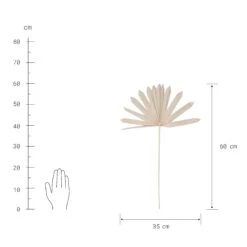 Trockenblumen Palmblatt Länge 60cm FLOWER MARKET In Natur -Butlers butlers trockenblumen palmblatt lange 60cm flower market in natur 3