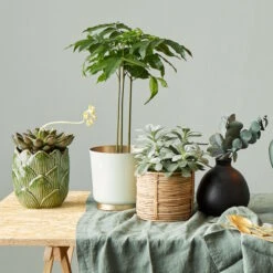 Vase Höhe 16cm MIO In Schwarz 19 Vase Höhe 16cm MIO In Schwarz -Butlers butlers vase hohe 16cm mio in schwarz 7